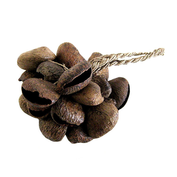 Pangi Seed Maraca, Percussion Shaker Instrument