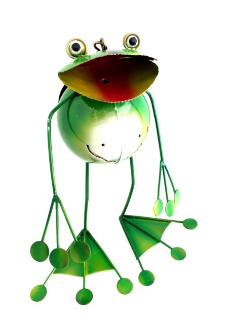 Summer Frog