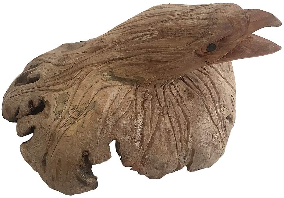 OMA Wooden Bald Eagle Head Statue Hand Carved Parasite Driftwood Home Decor Gift Sculpture - Premium Quality (Large)