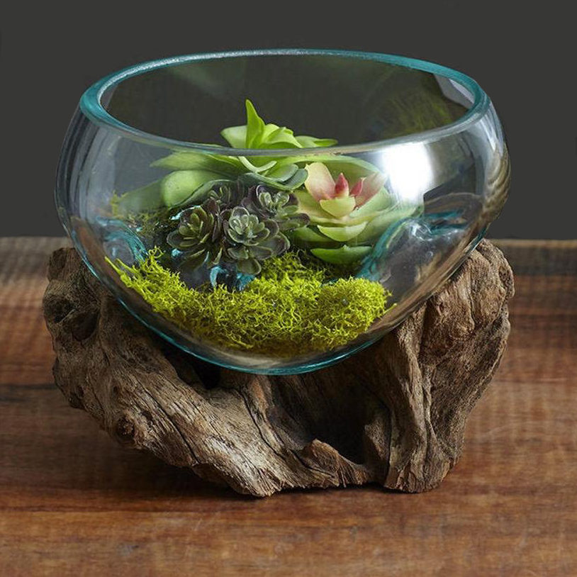 Molten Glass Terrarium