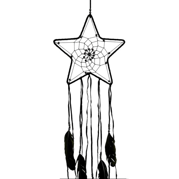 Night Star Dream Catcher With Feathers, Black Color